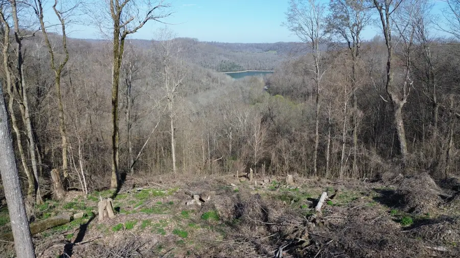 0 Lola Dr Lots 213 & 237, Smithville, TN 37166 - #3