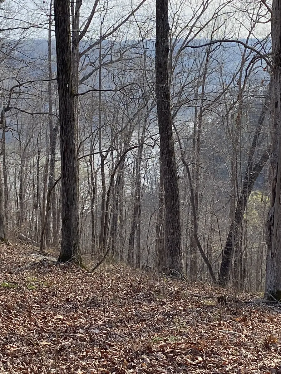 0 Harbor Green Pl, Sparta, TN 38583 - #2