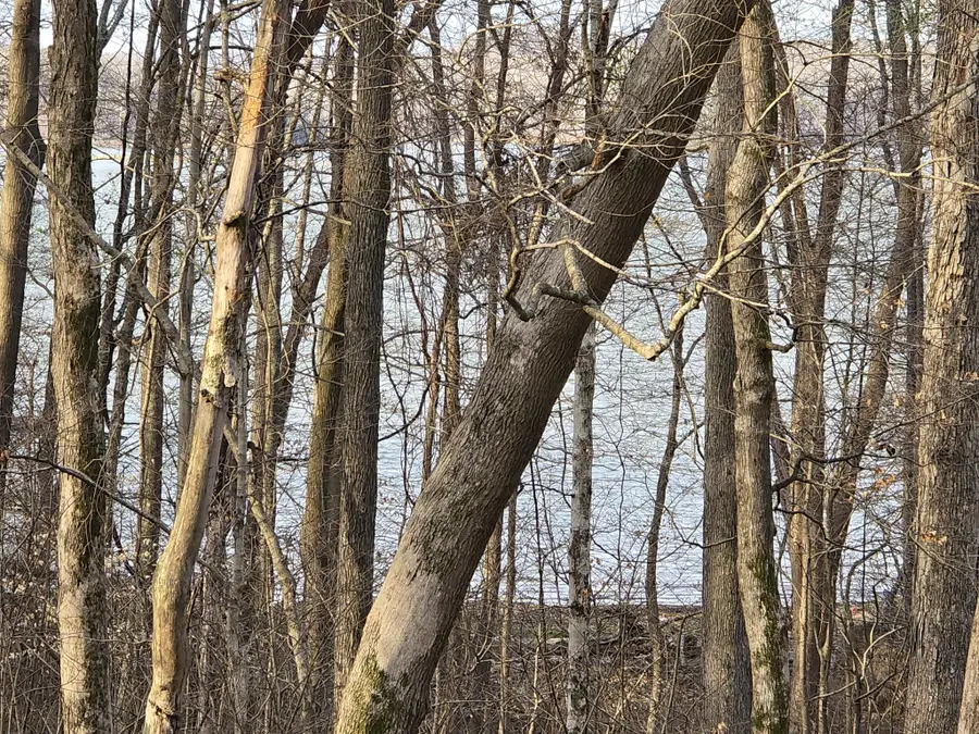 33 Rockcastle Shores, Cadiz, KY 42211 - #2