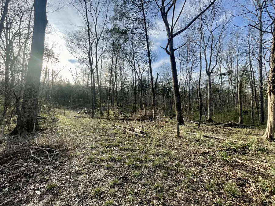 0 Christiana Fosterville Rd, Christiana, TN 37037 - #3