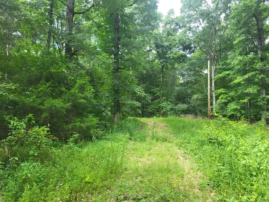 0 Mcdonald Loop, Dickson, TN 37055 - #3