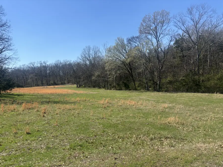 9849 Sam Donald Rd, Nolensville, TN 37135 - #3