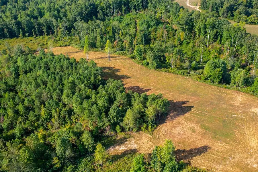0 Kro Hollow Rd, Hohenwald, TN 38462 - #3