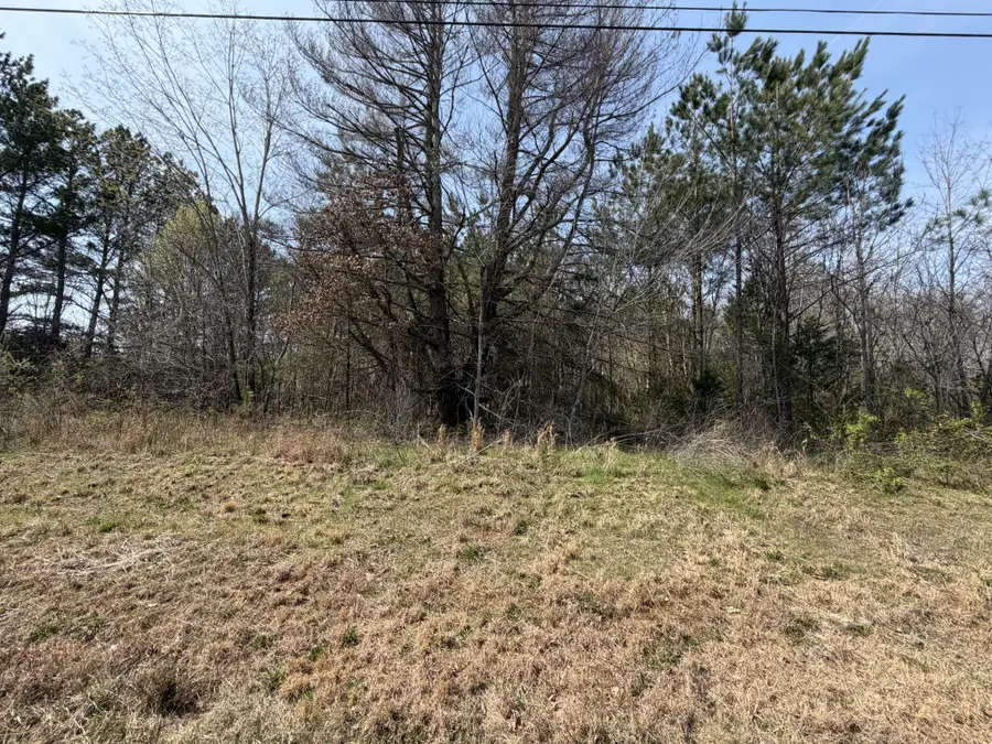 5106 Workman Rd, Southside, TN 37171 - #2