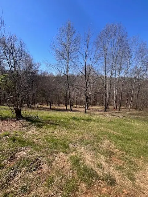 1021 Pumpkin Ave, Charlotte, TN 37036 - #2