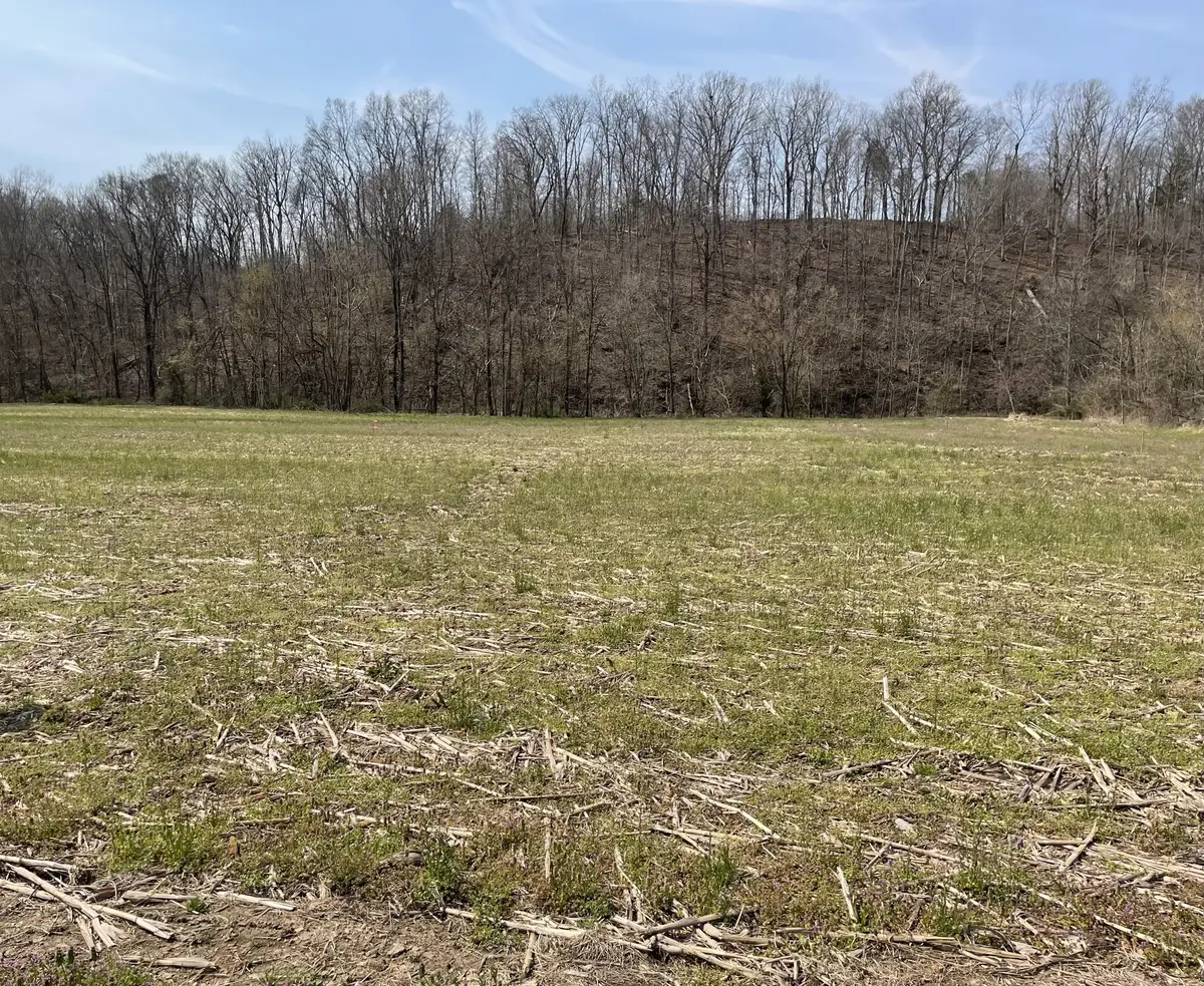 1555 Dutch Creek Rd, Westmoreland, TN 37186 - #1