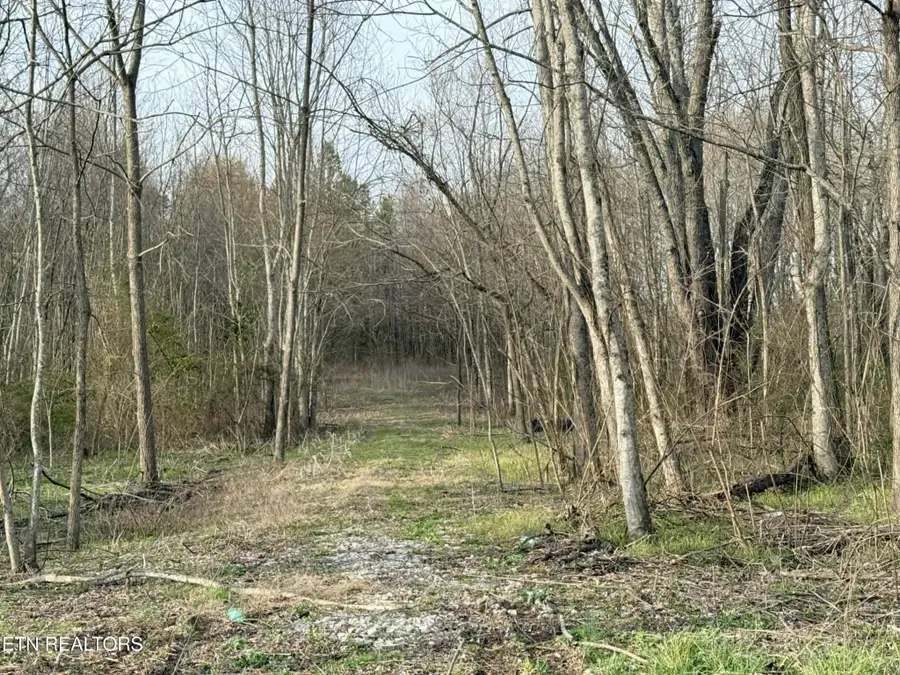 1115 Frank Campbell Rd, Jamestown, TN 38556 - #2