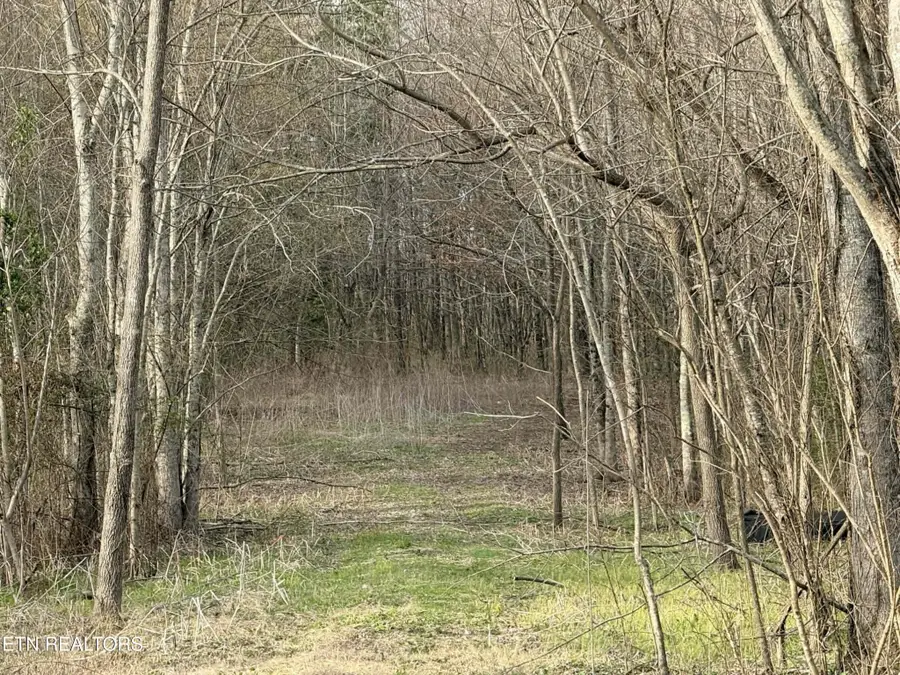 1115 Frank Campbell Rd, Jamestown, TN 38556 - #3