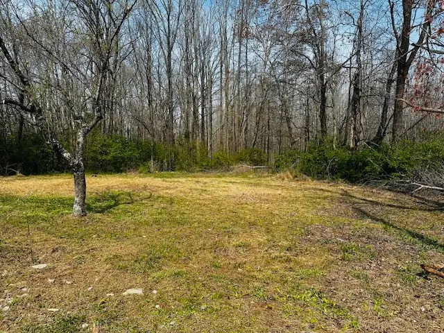 7120 Cobb Cir, Fairview, TN 37062 - #1