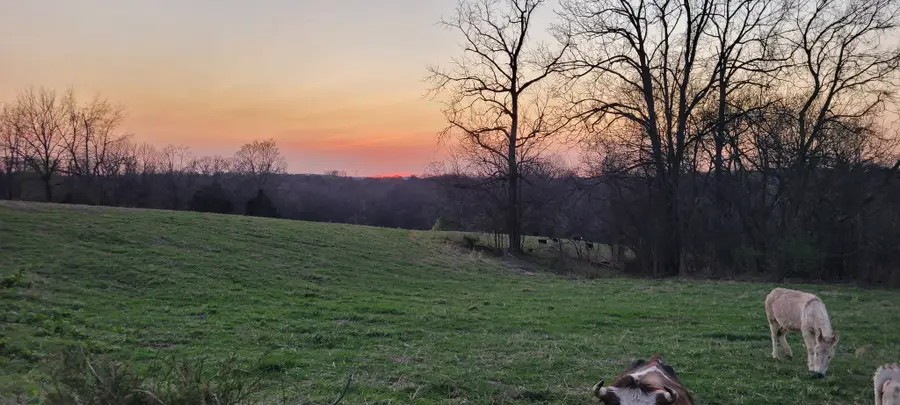 1 Haley Rd, College Grove, TN 37046 - #2