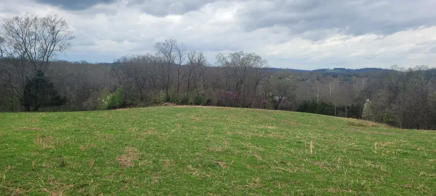 1 Haley Rd, College Grove, TN 37046 - #3