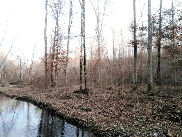 0 Deer Ridge, Waynesboro, TN 38485