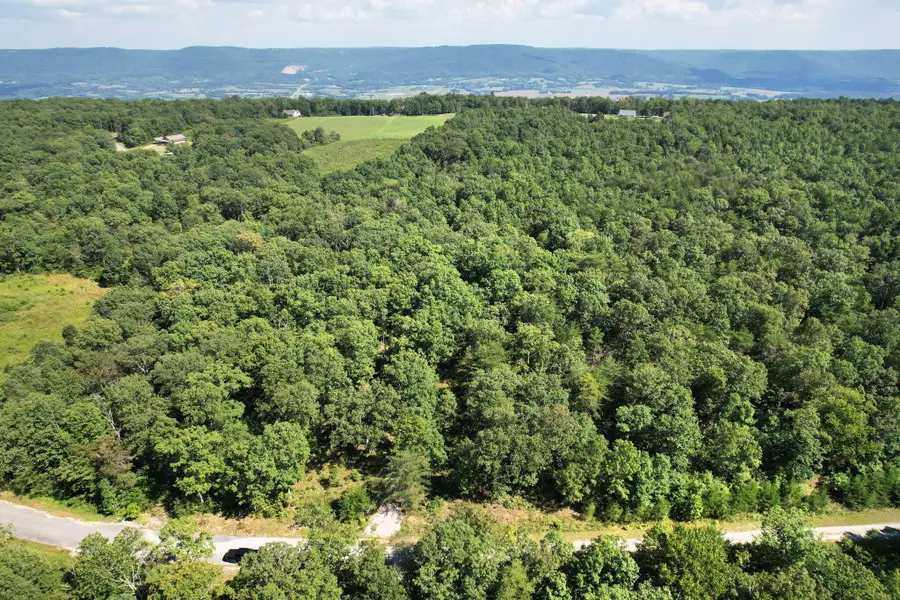 0 Big Bluff View Road, Pikeville, TN 37367 - #2