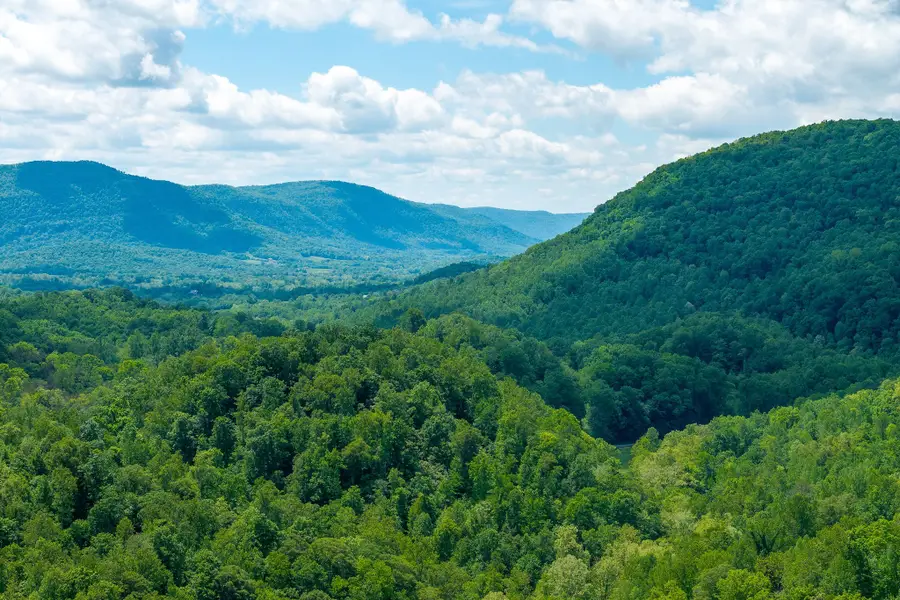 8450 Old Highway 28, Pikeville, TN 37367 - #3