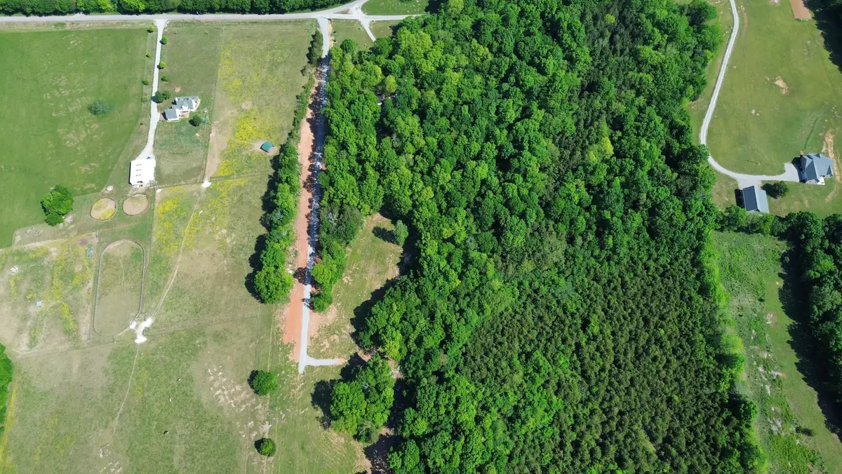 2556 Palmetto Cemetery Rd, Lewisburg, TN 37091 - #1