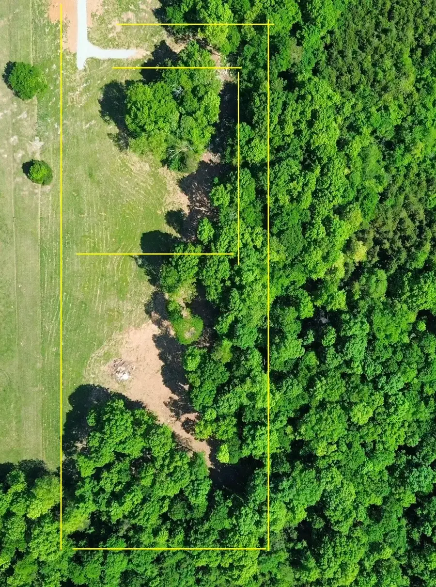 2556 Palmetto Cemetery Rd, Lewisburg, TN 37091 - #2