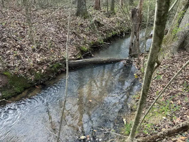 0 Evening Shadow Ln, Whitwell, TN 37397 - #3