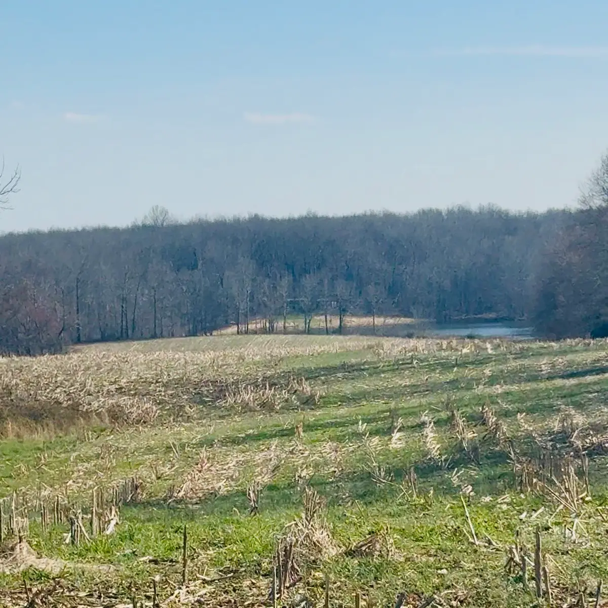 0 Cabbage Patch Rd, Altamont, TN 37301 - #1