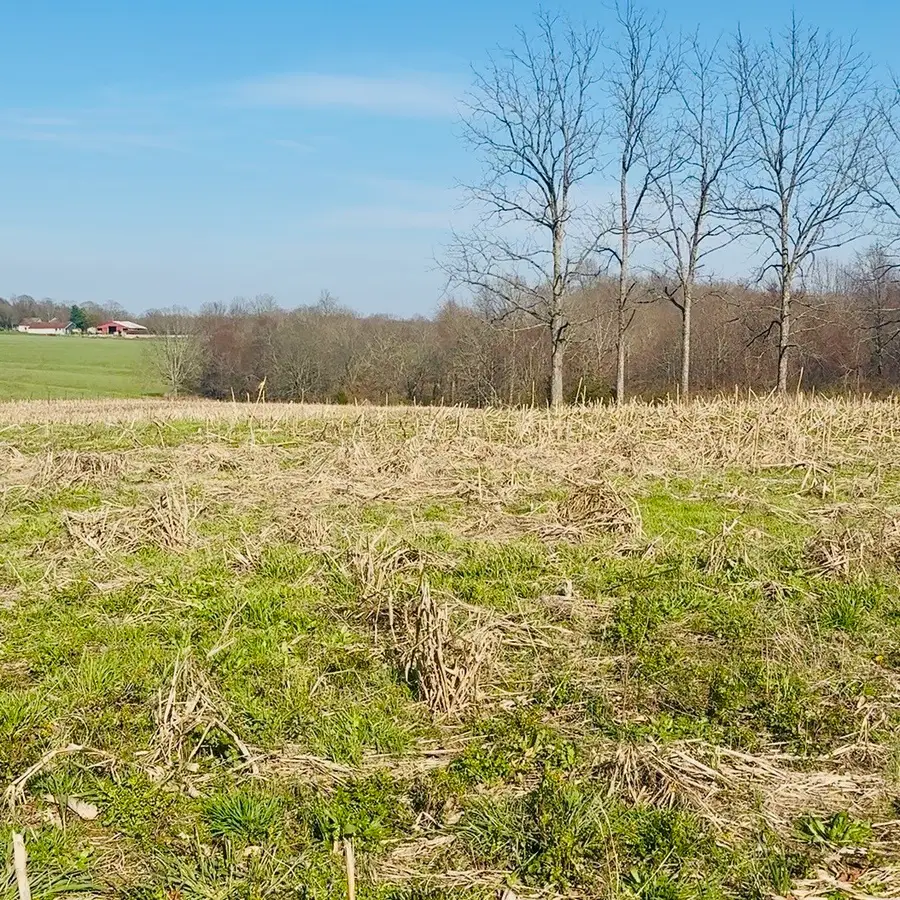 0 Cabbage Patch Rd, Altamont, TN 37301 - #3