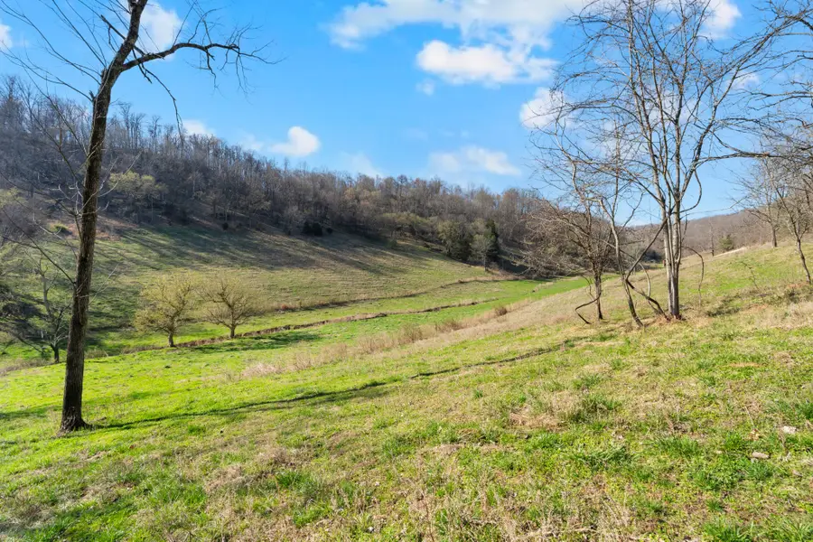 546 Womack Hollow Rd, Liberty, TN 37095 - #3