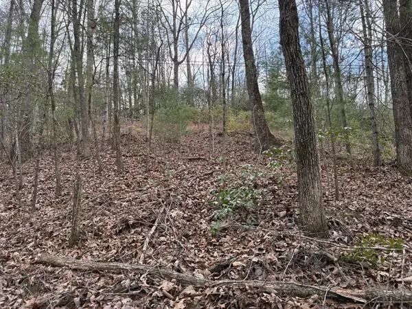 0 Chestnut Mountain Road, Reliance, TN 37369