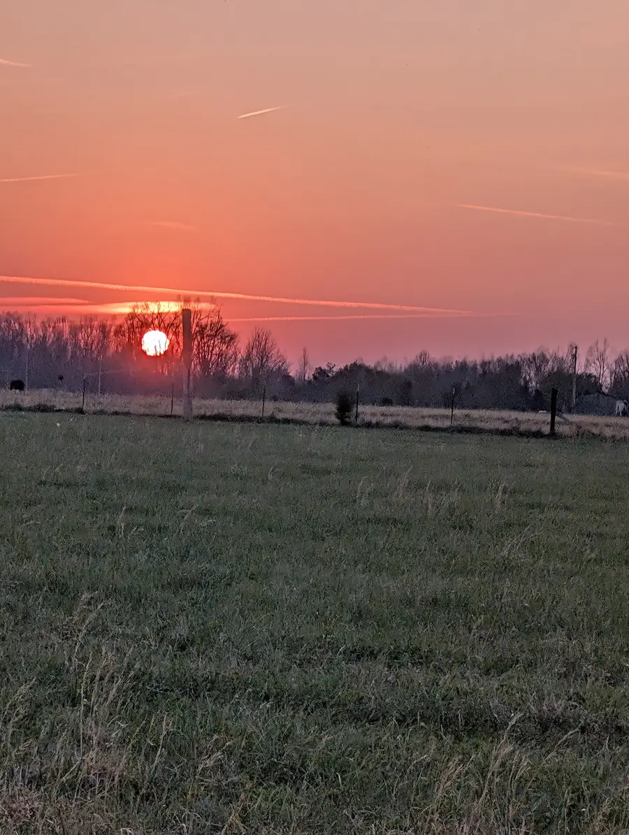 293 Hawkins Rd, Westmoreland, TN 37186 - #3