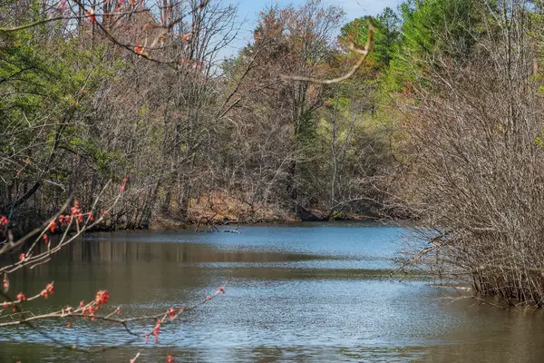 0 Rocky River Rd, Spencer, TN 38585