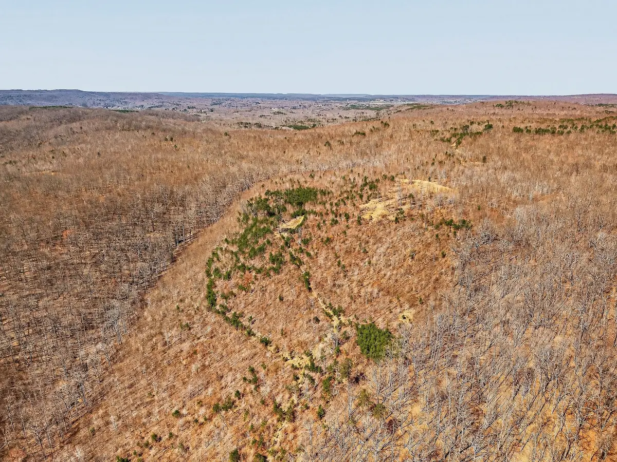 253 Daus Mountain Rd, Palmer, TN 37365 - #1