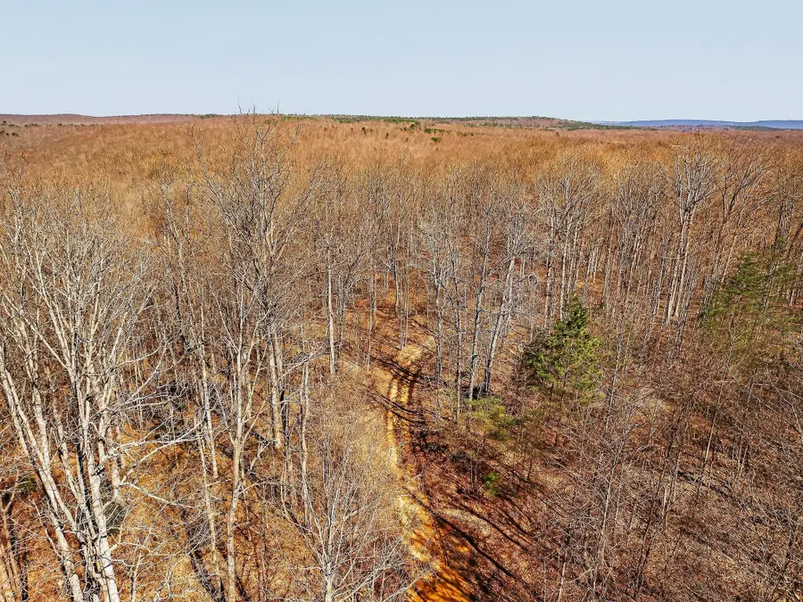 253 Daus Mountain Rd, Palmer, TN 37365 - #2