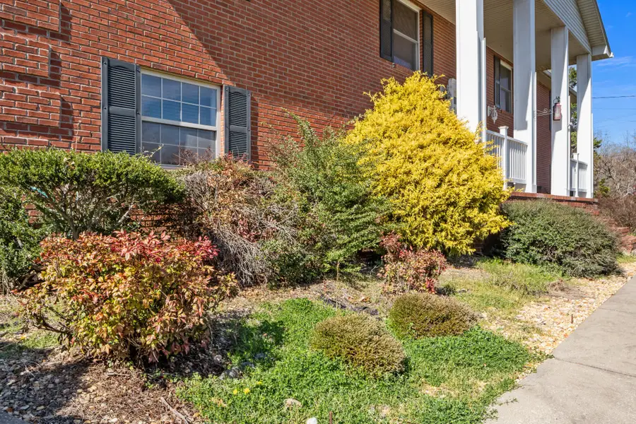 499 River Oaks Dr, New Johnsonville, TN 37134 - #2