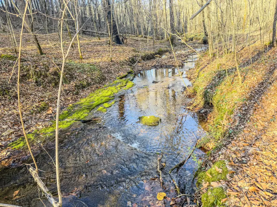 0 Bryant Boswell Rd, Westpoint, TN 38486 - #2