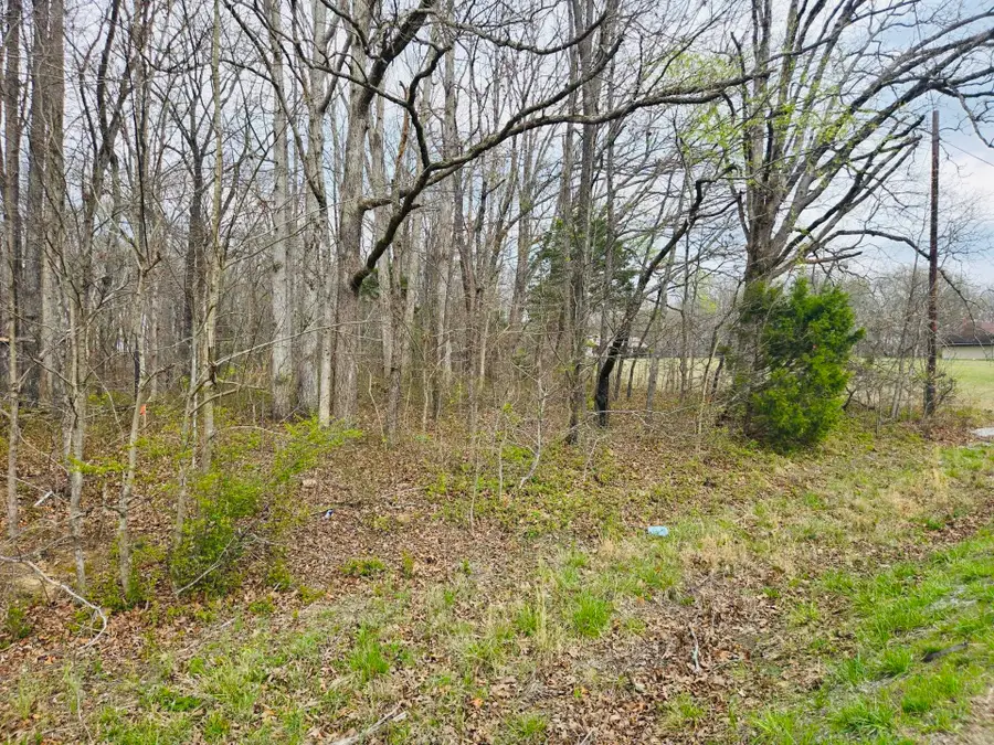 0 Highway 49, Tennessee Ridge, TN 37178 - #2