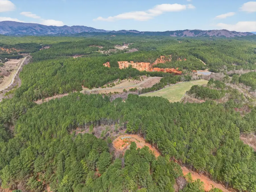 5333 U.s. 64, Lot 4, Copperhill, TN 37317 - #2