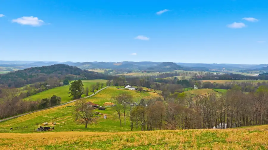 3633 Gnat Grove Rd, Cornersville, TN 37047 - #2