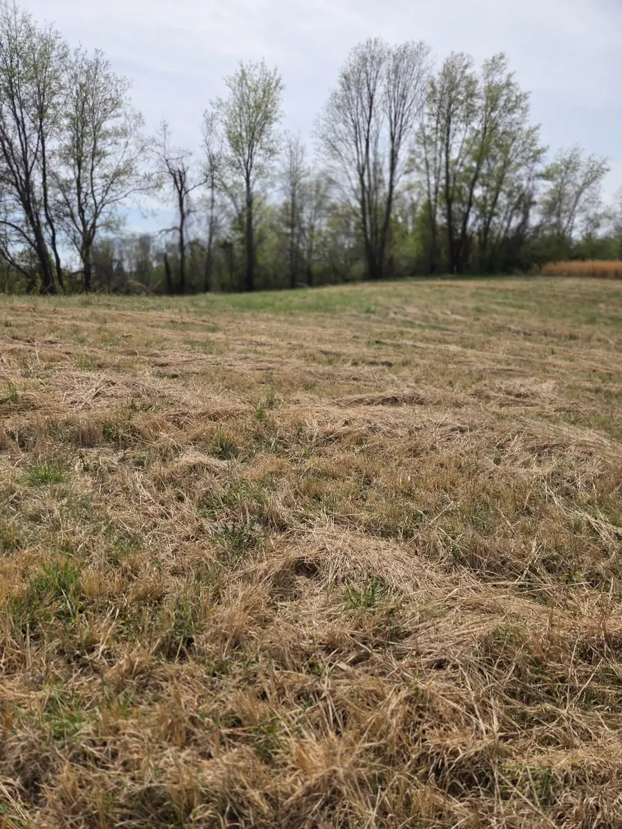 0 Hancock Dr, Morrison, TN 37357 - #2