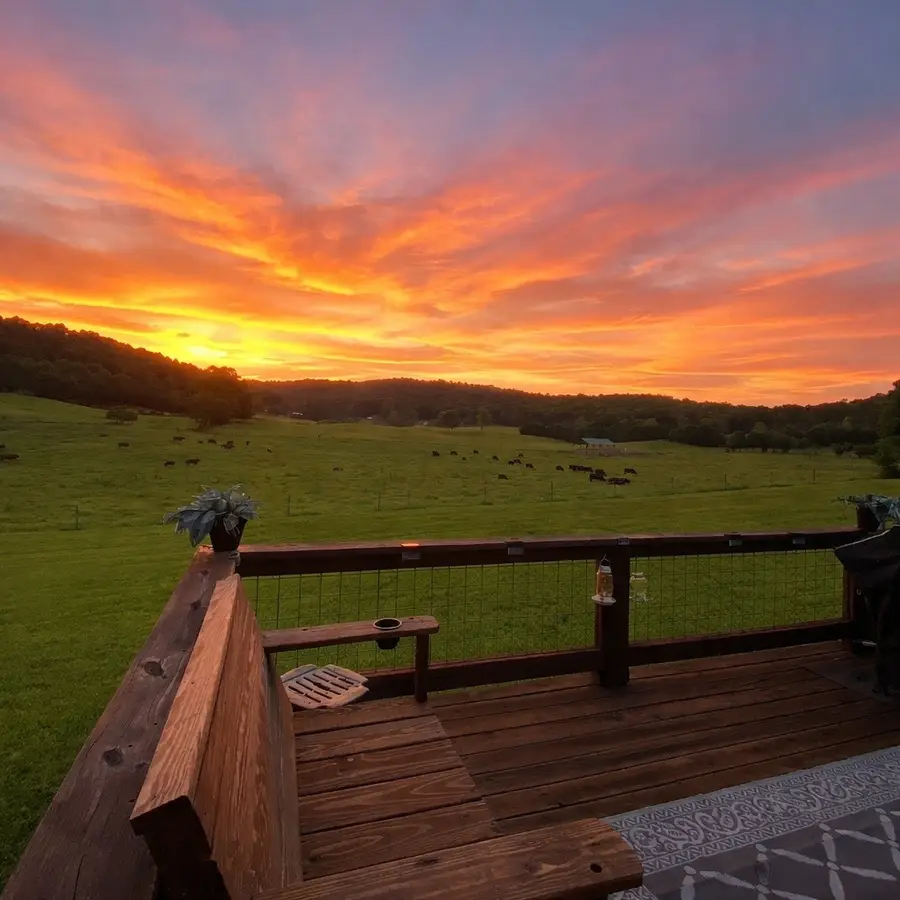 2040 Walker Cove Rd, Sparta, TN 38583 - #2