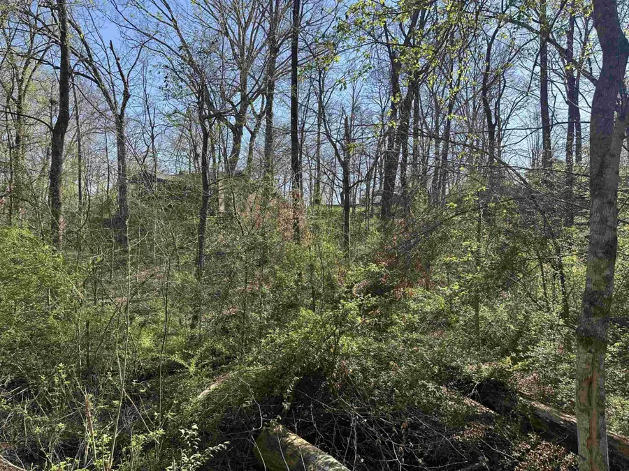 0 Crump Landing Rd, Crump, TN 38327 - #3