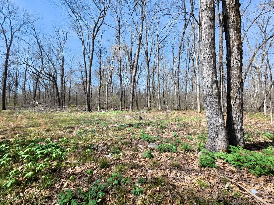 9346 Christiana Fosterville Rd, Christiana, TN 37037 - #2