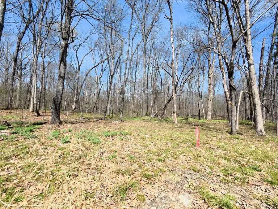 9346 Christiana Fosterville Rd, Christiana, TN 37037 - #3