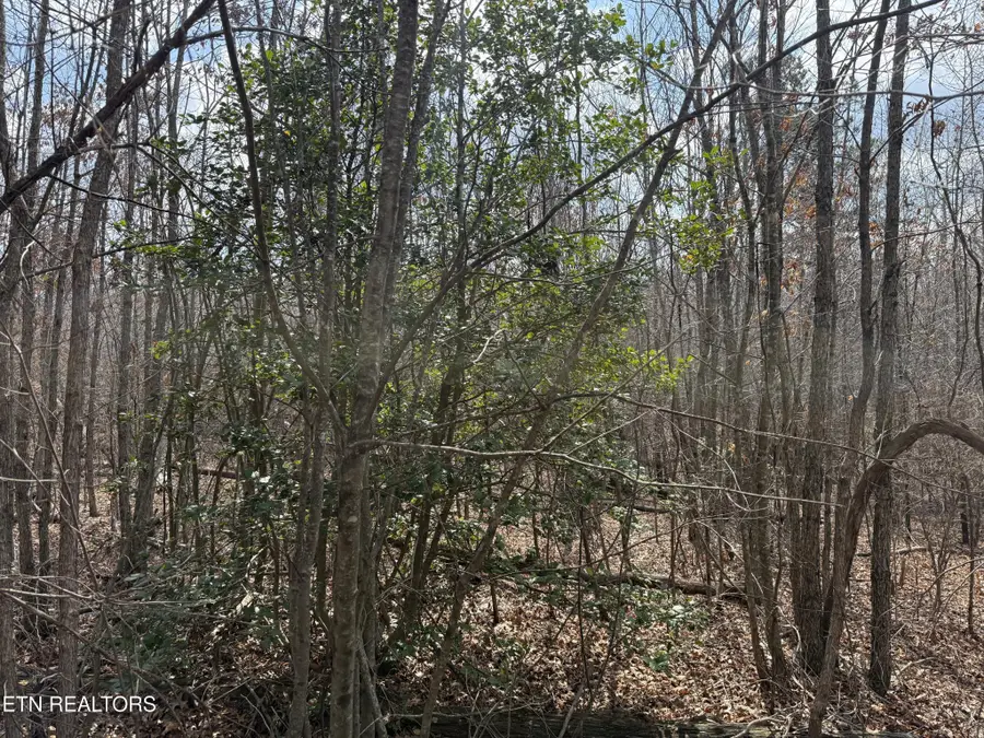 0 Cumberland Lakes Drive, Monterey, TN 38574 - #3