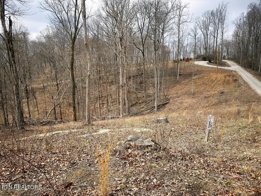 50 Crappie Lane, Hilham, TN 38568 - #3