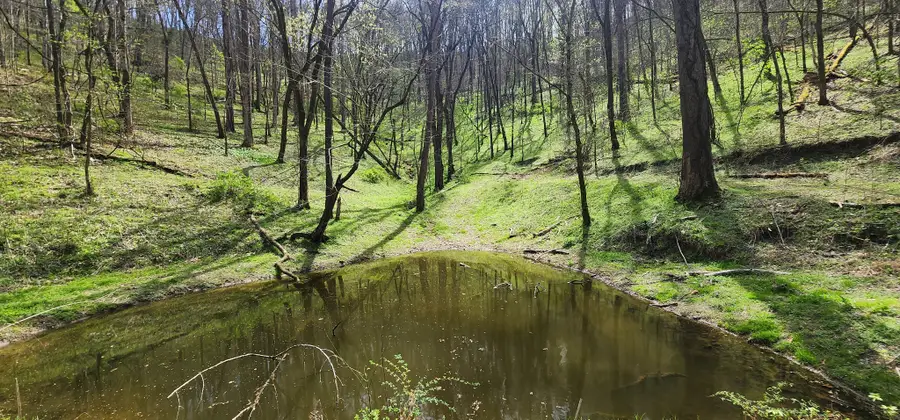 950 Chapman Hollow Rd, Dowelltown, TN 37059 - #3