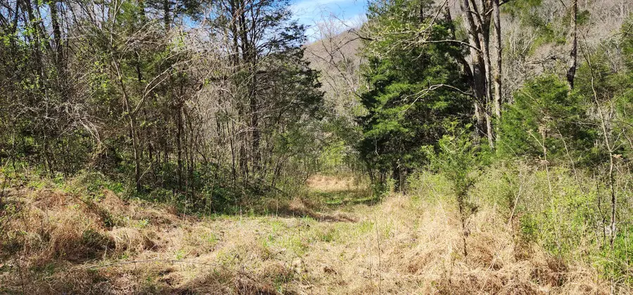 0 Wilson Hollow Rd, Liberty, TN 37095 - #3