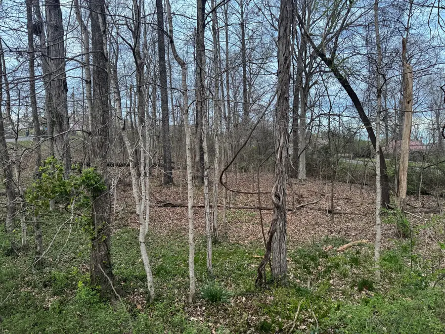 0 Canary Drive, Dickson, TN 37055 - #2