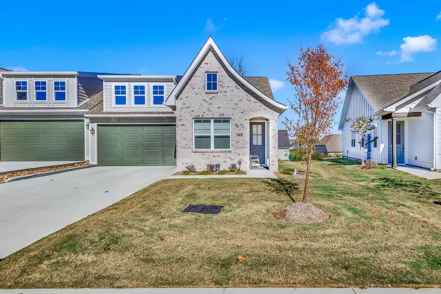 548 Byres Ct, Smyrna, TN 37167 - #3