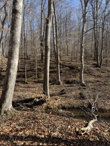 0 Old Hwy 96, Franklin, TN 37064 - #3