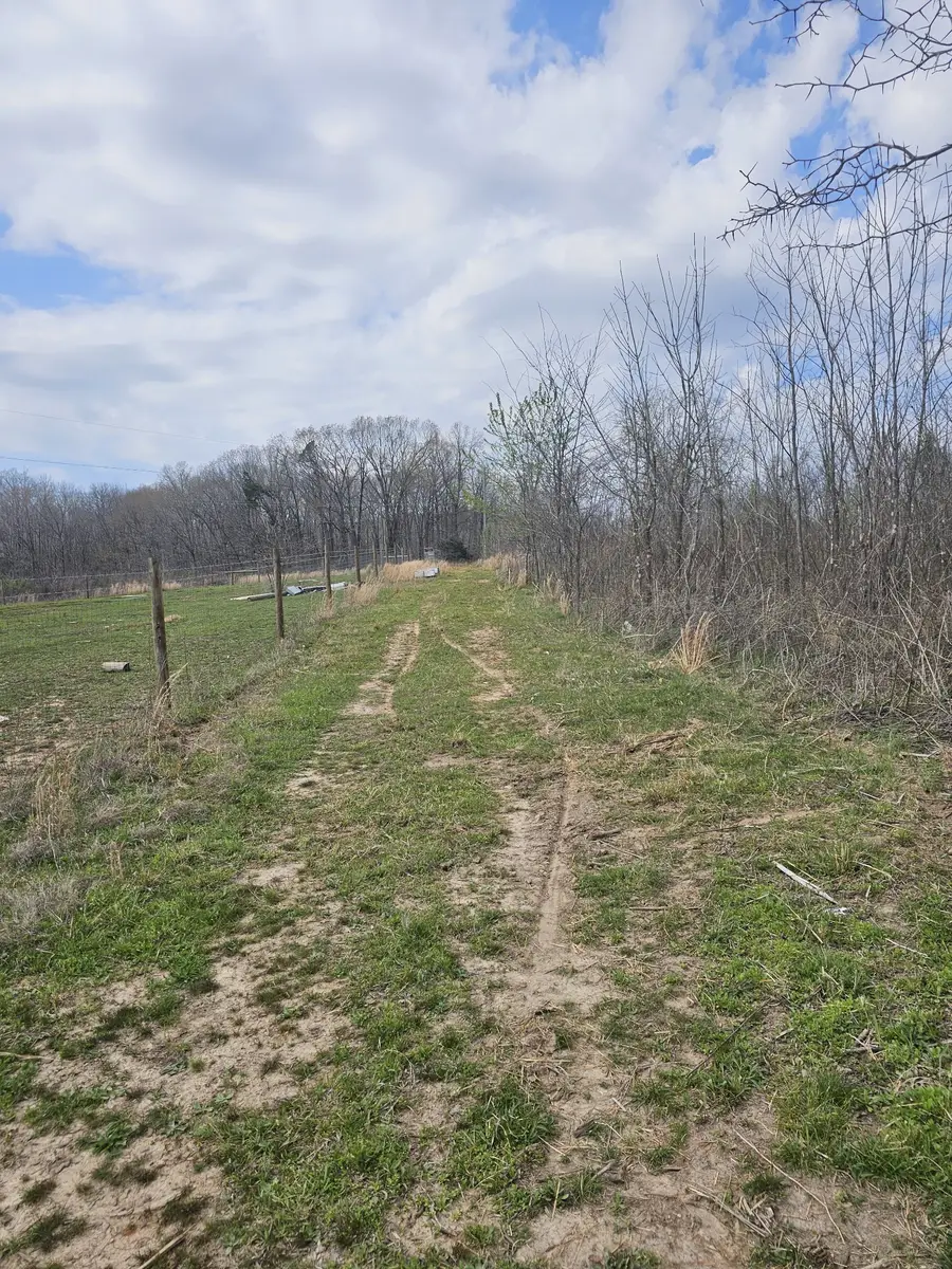 0 Robert Ford Cove, Clifton, TN 38425 - #2