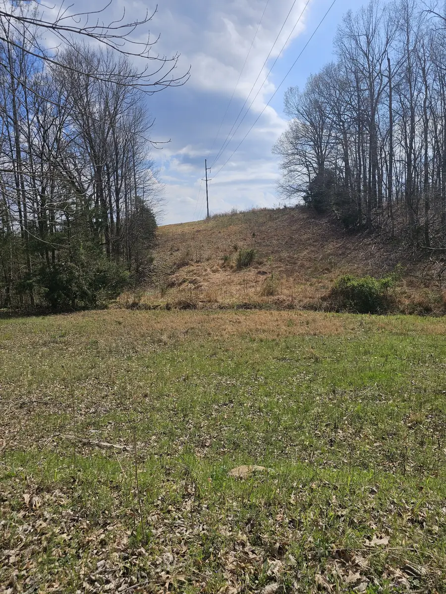 0 Robert Ford Cove, Clifton, TN 38425 - #3