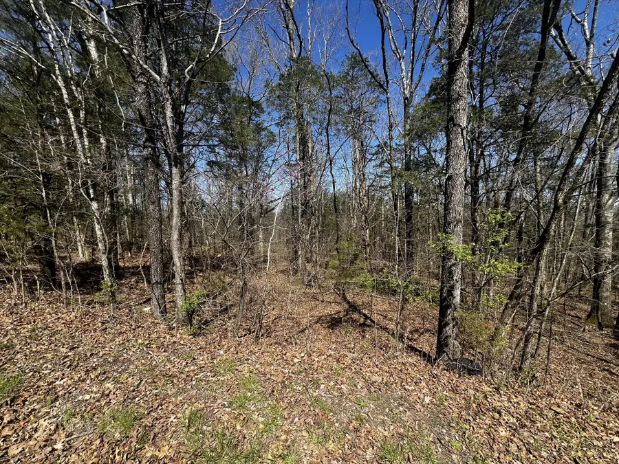 0 Anderson Ln, Chapel Hill, TN 37034 - #3