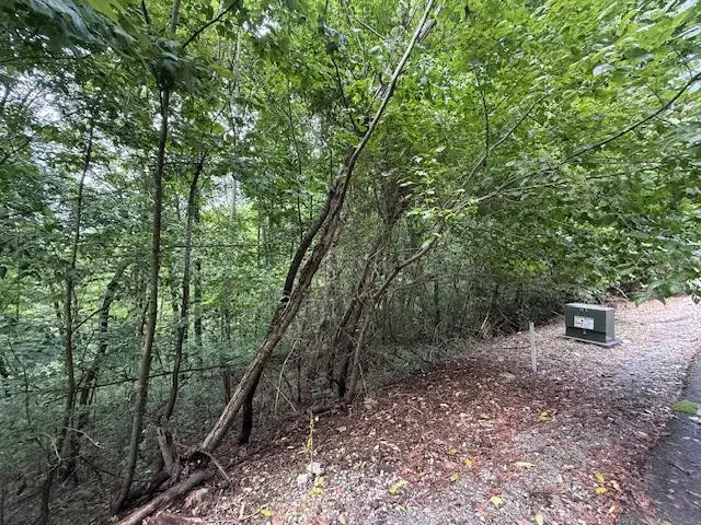 154 Center Hill Shores Drive, Smithville, TN 37166 - #3